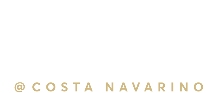 https://www.navarinoecommercesummit.gr/wp-content/uploads/2024/01/logo_big.png